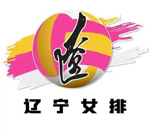 辽宁女排翻译曝球队欠薪半年，队员们一点保障都没有