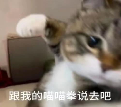 网球是一项羞辱运动