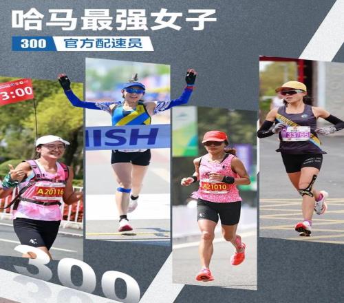 今年哈马不止有李美珍，还有最强300女子官兔阵容