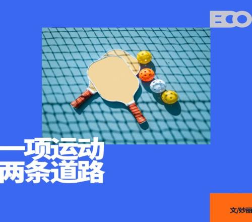 成立一年7亿融资，匹克球不再只是养老项目