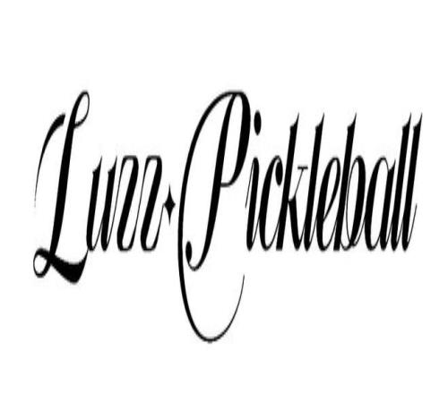 半年单量飙升30倍！匹克球跨境照亮东南亚新赛场