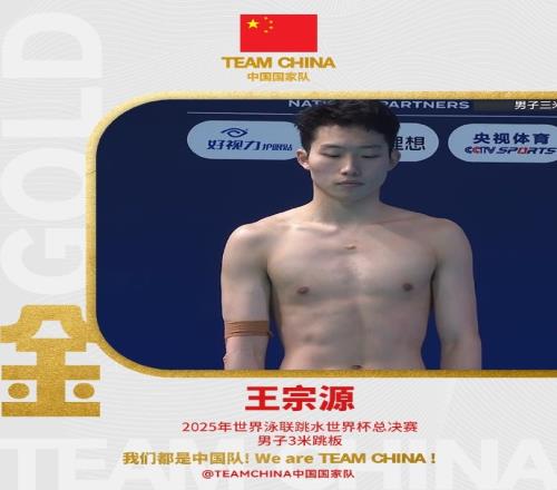 梦之队！跳水世界杯总决赛：王宗源男子3米板夺冠，郑九源亚军