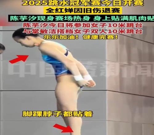 全红婵因旧伤退赛，陈芋汐与掌敏洁搭档女子双人10米跳台