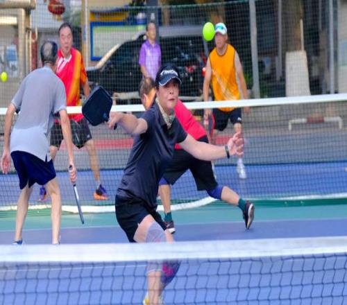 告别羽毛球自由，中产迷上匹克球