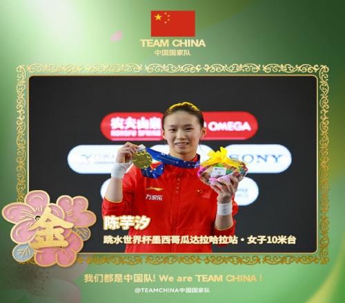 跳水世界杯墨西哥站：中国队7金4银1铜收官，陈芋汐成双冠王