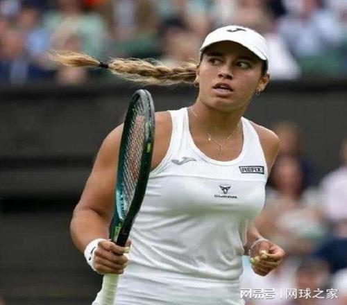 四大种子出局广网被调侃是冷门温床，金花军团被夸打出最稳定表现