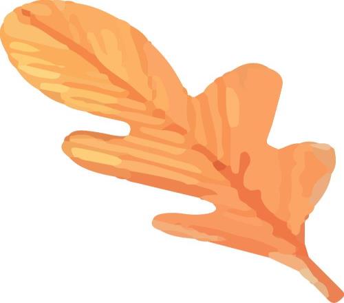 请查收“崇悦同萌”全能趣味挑战赛参赛指南