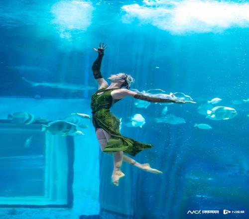 运动员免费！正佳极地海洋世界送出多项福利迎全运会